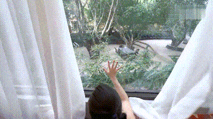 16.gif