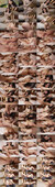 7.jpeg